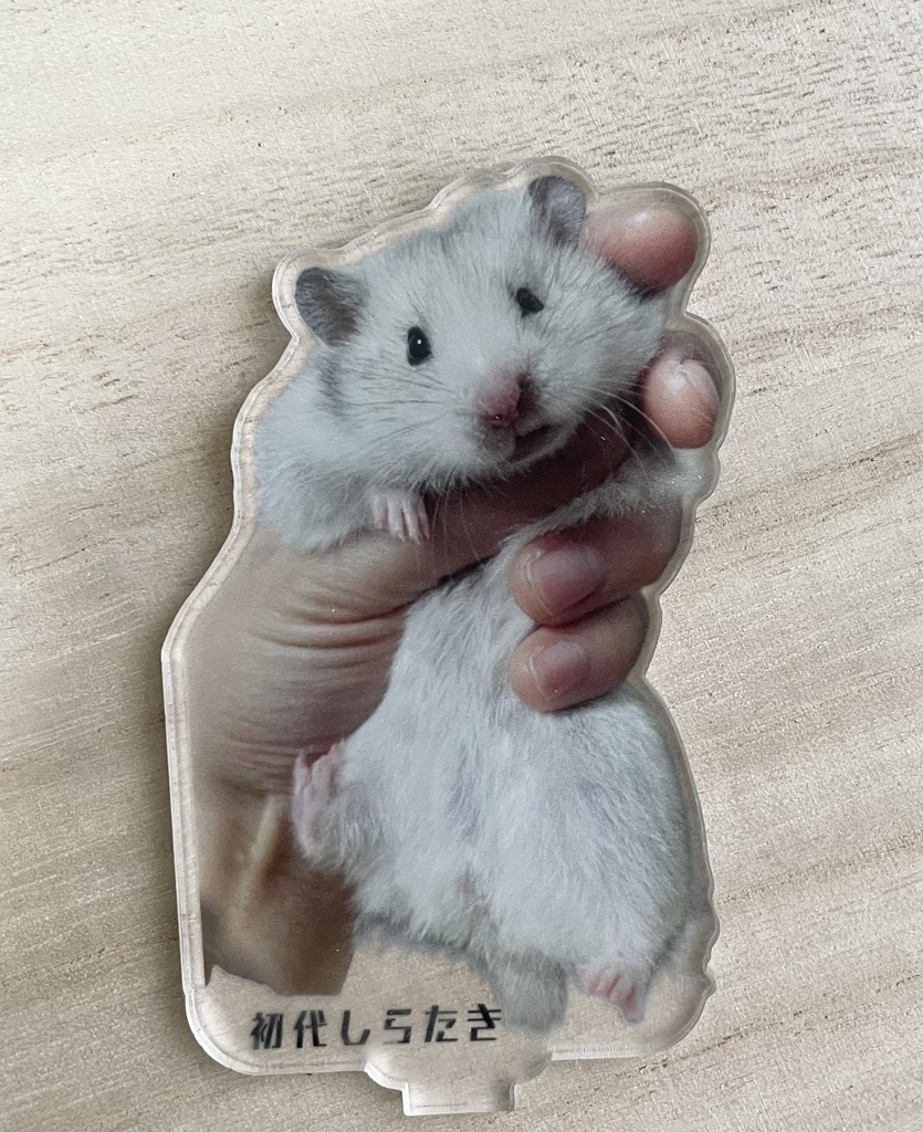 手持ちの初代しらたきちゃんアクスタ