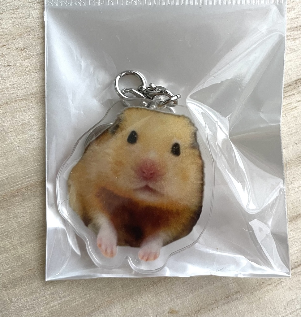 ぼ、ぼくぅ？？キーホルダー