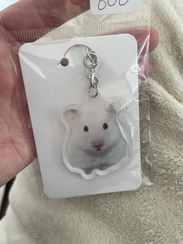 イカちゃんキーホルダー