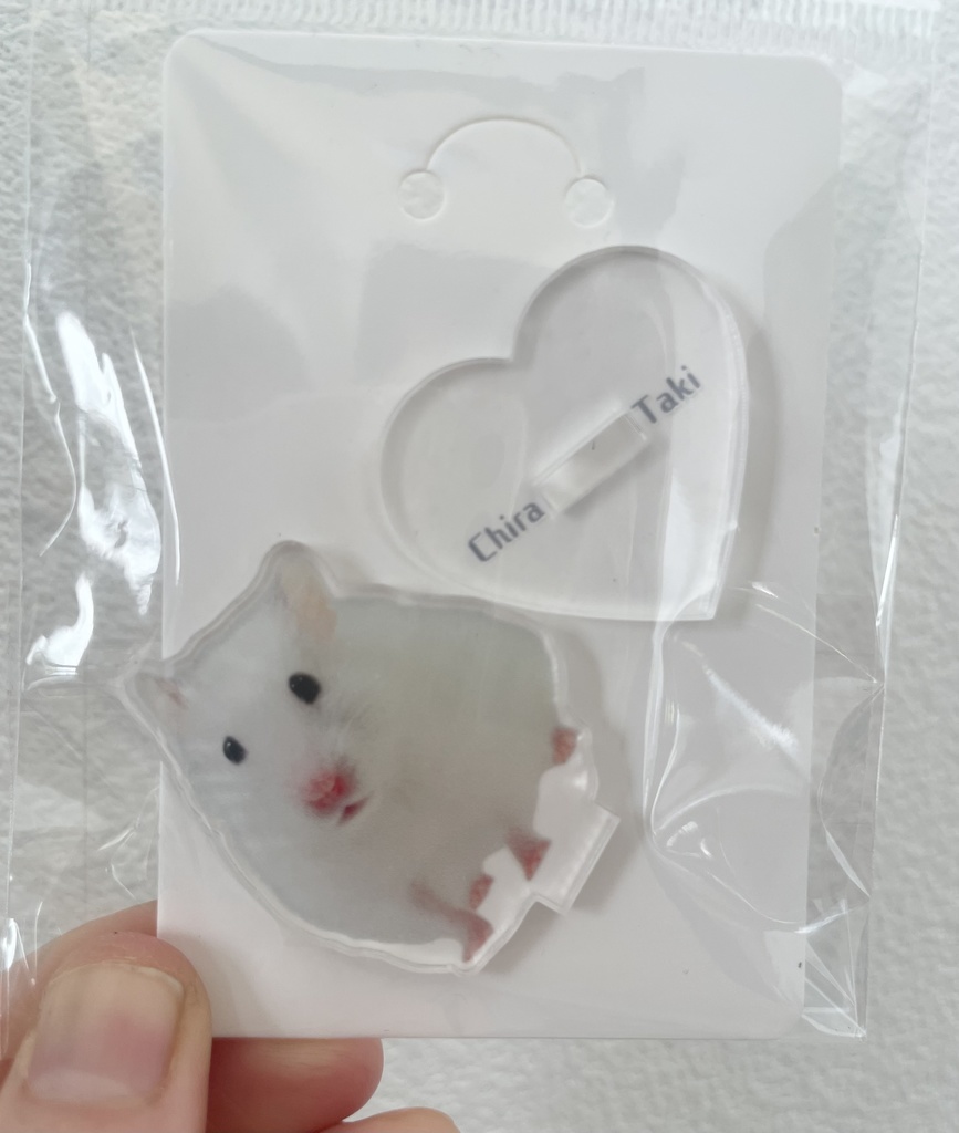 イカちゃんミニアクスタ