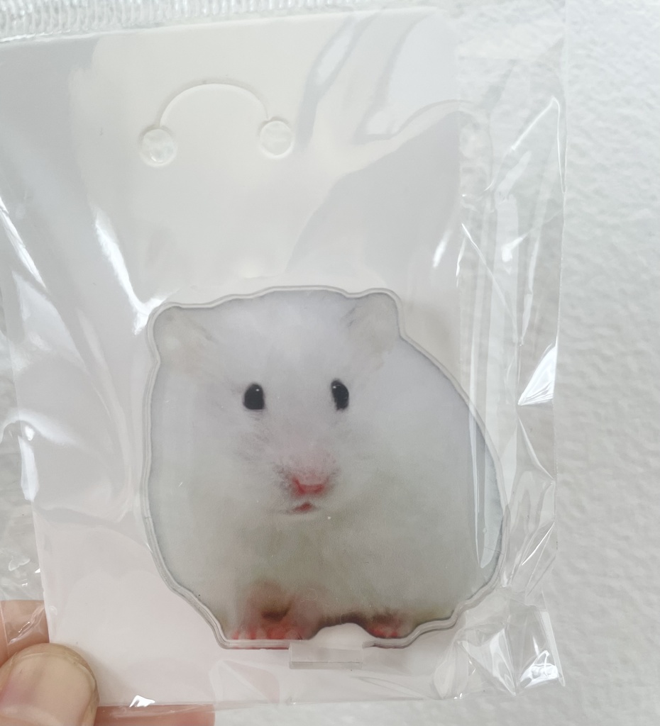 イカちゃんのミニアクスタ