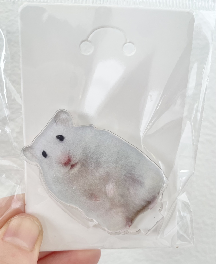 イカちゃんアクスタ