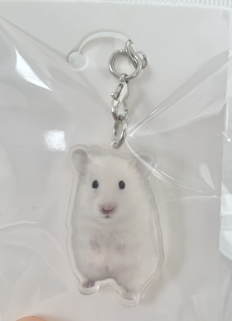 イカちゃんミニアクリルキーホルダー