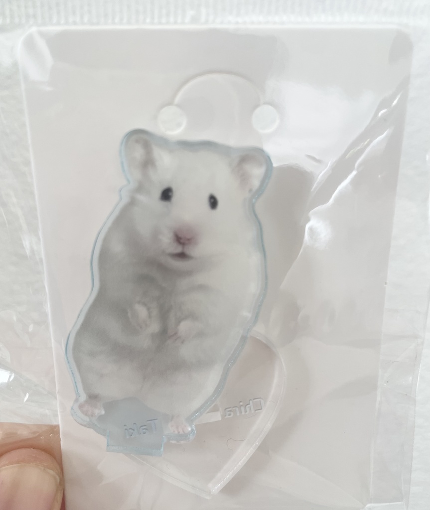 イカちゃんアクスタ