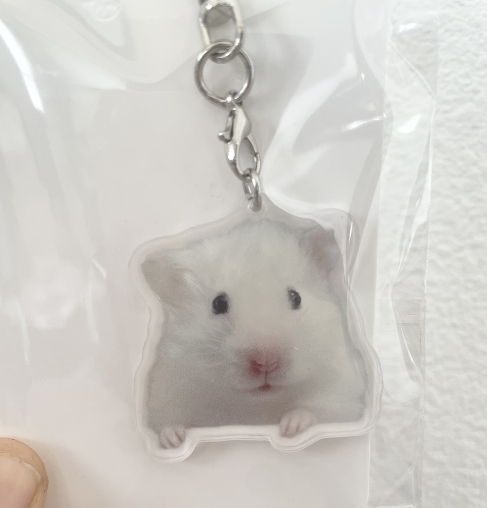 イカちゃんキーホルダー