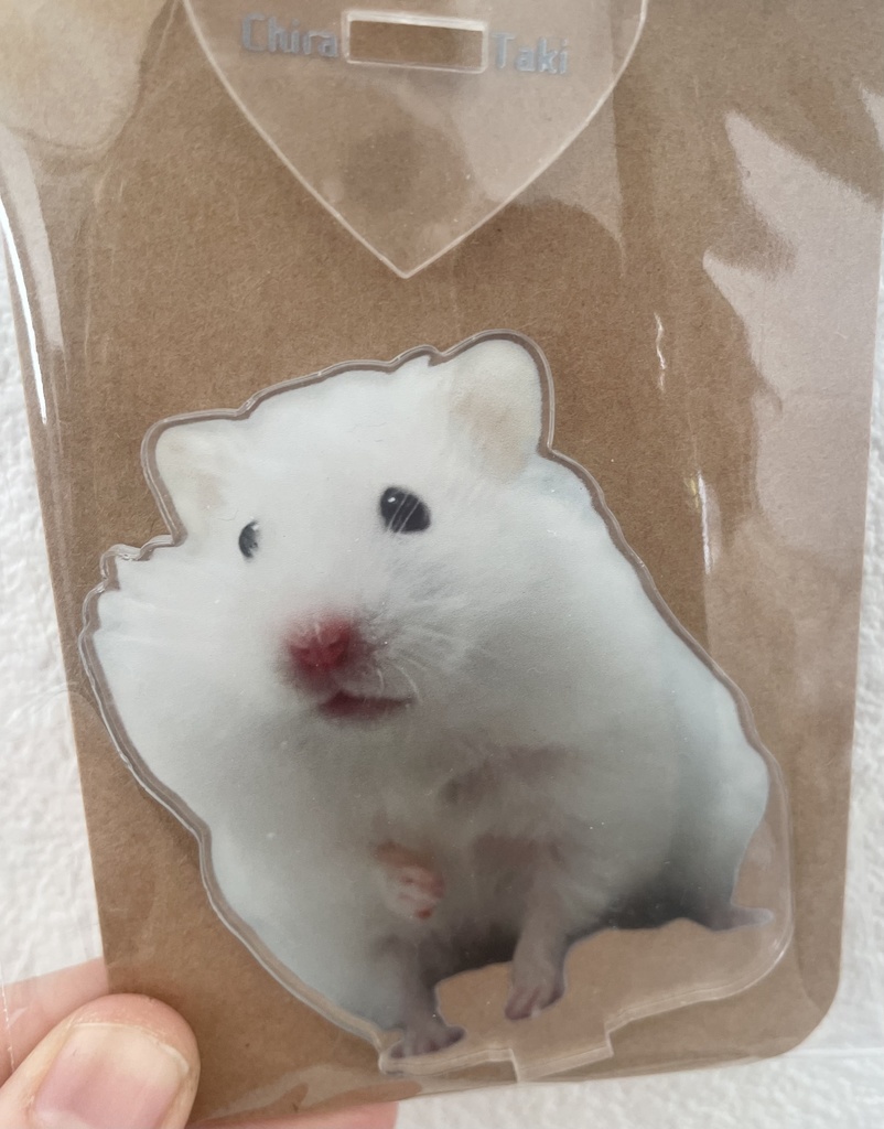 イカちゃんアクスタ