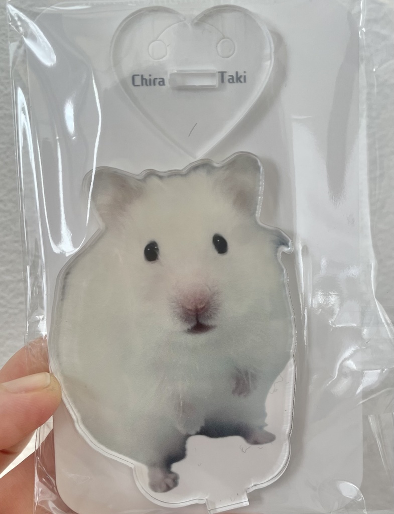 イカちゃんアクスタ