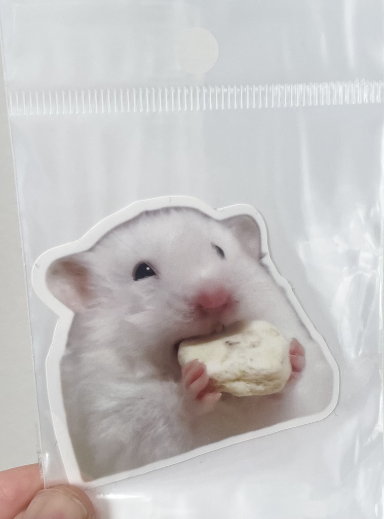 イカちゃんステッカー