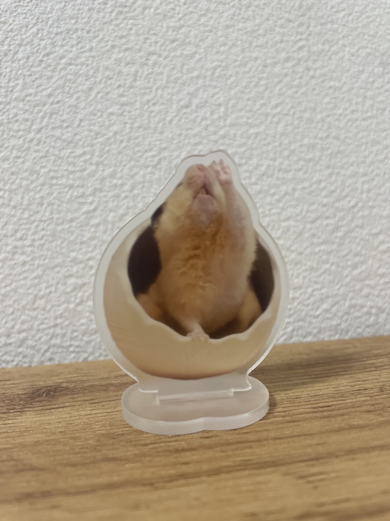 決めポーズのナゲット店長