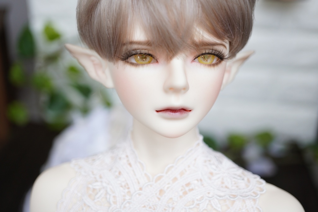 【ドールアイ/16mm】ヘリアンサス