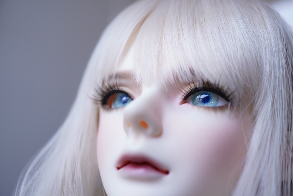 🏷【ドールアイ/16mm】Veil