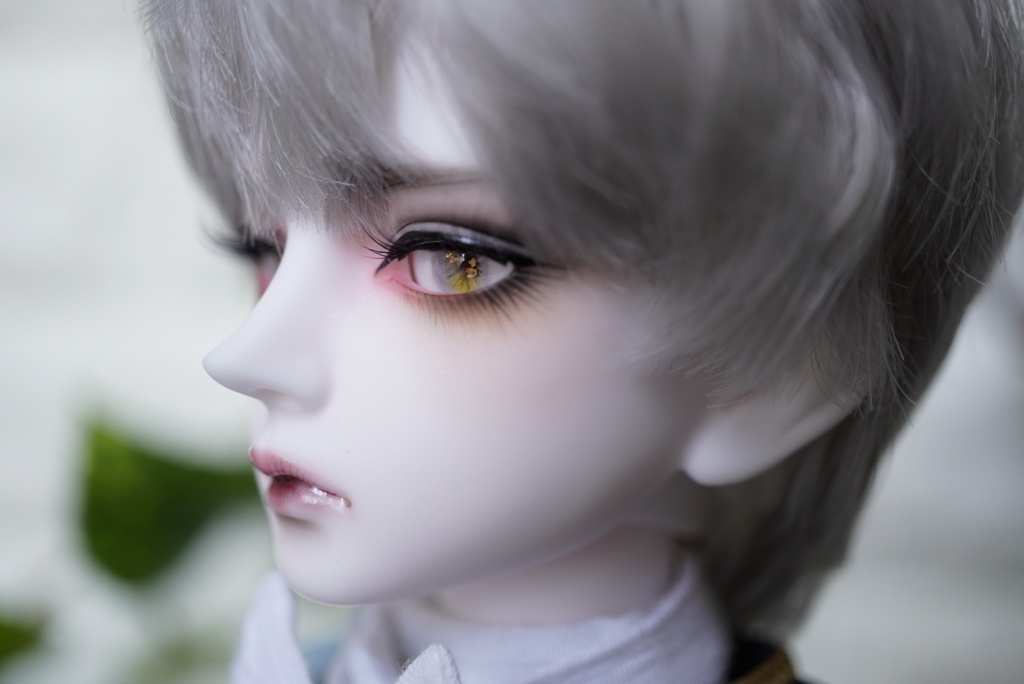 【ドールアイ/14mm/小虹彩】ヴィオラ