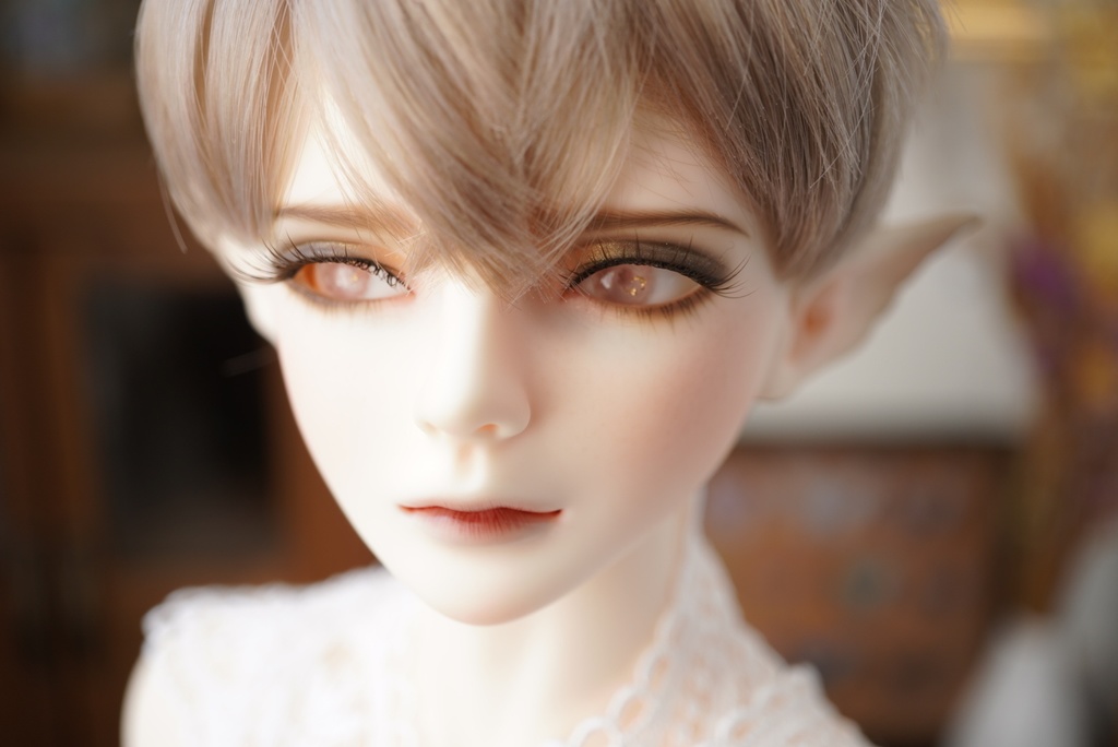 【ドールアイ/16mm/小虹彩】花小鞠