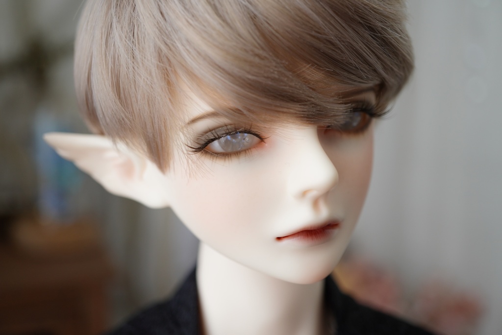 【ドールアイ/16mm】花小鞠(偏光あり)