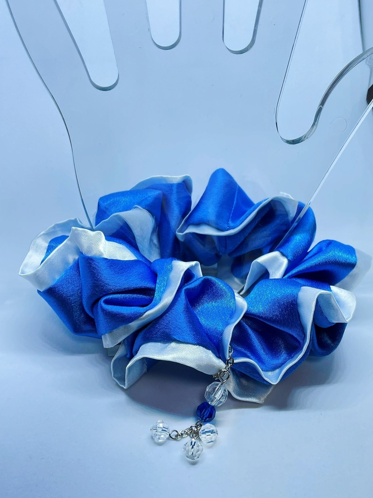 【WT】イメージシュシュ