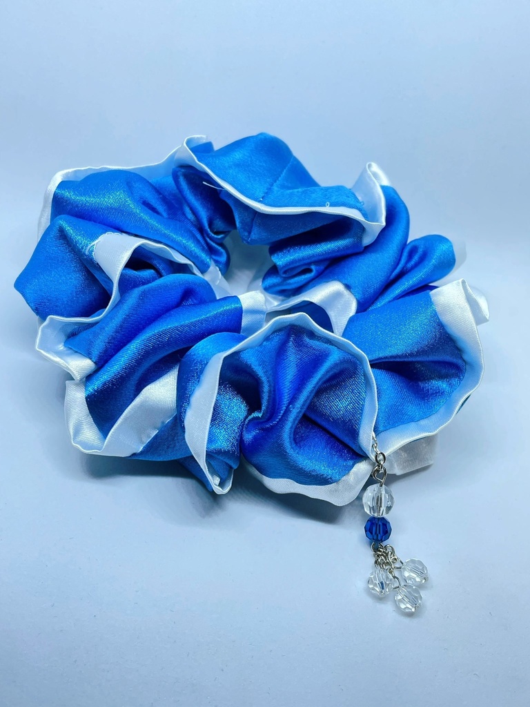 【WT】イメージシュシュ