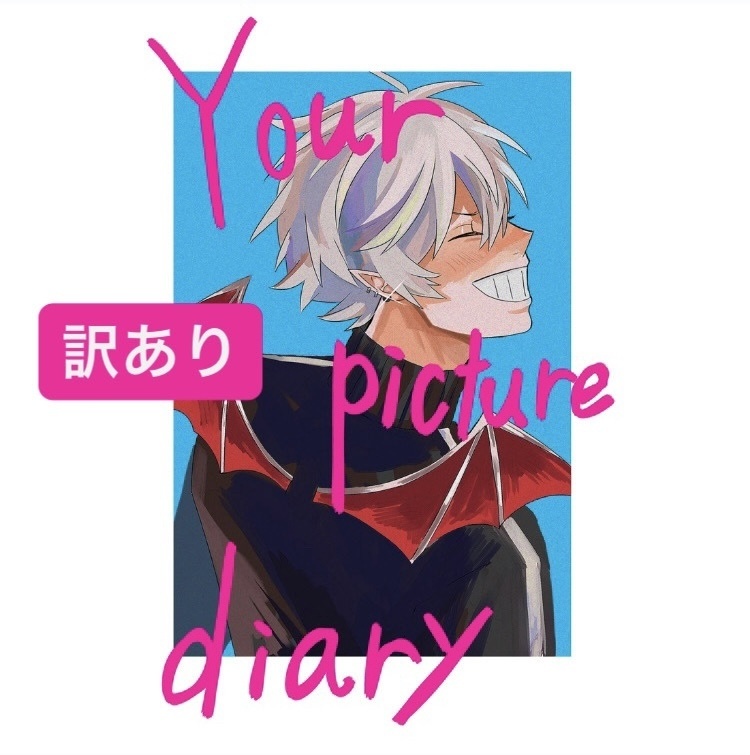 【訳あり】Your Picture Diary