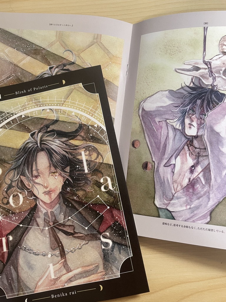 イラスト本「ポラリスの瞬き」