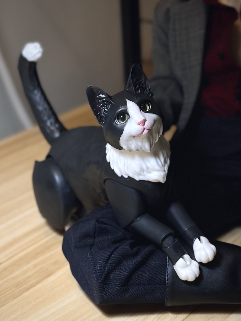 DOLLMEET|ネコBJD|1/3 猫