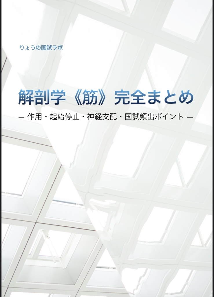 PT・OT国試対策 解剖学《筋》完全まとめ — 作用・起始停止・神経支配・国試頻出ポイント —