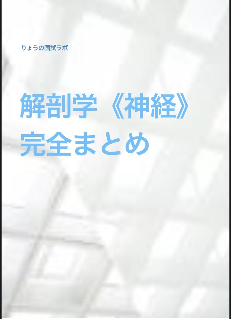 解剖学《神経》 完全まとめ