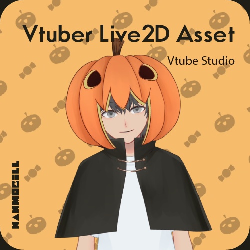 Pumpkin Costume【 Live2Dアバター | VTS 】