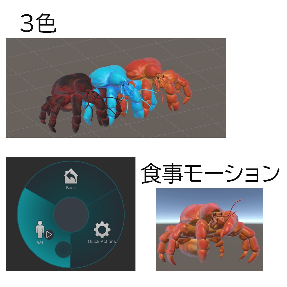 茹でたヤシガニ