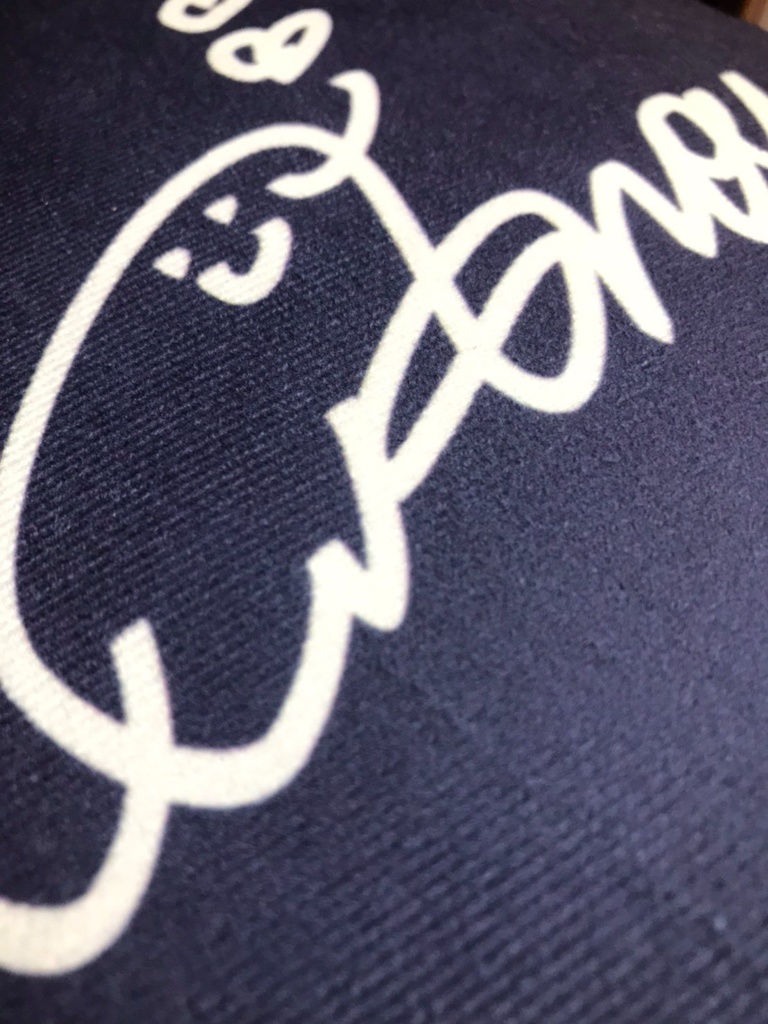 【音琶先生描きおろし】ここのゆクッション