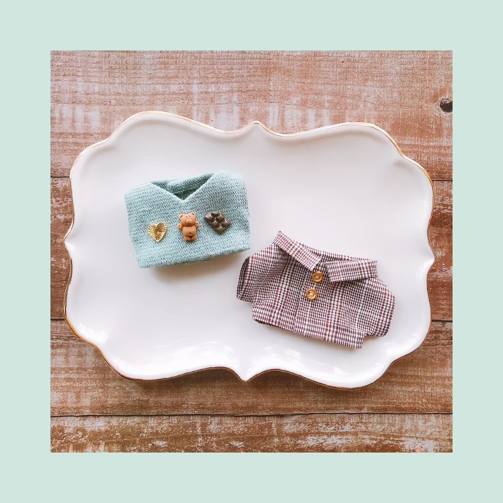レッド系日本初の チョコミントサボちゃん その他 ハンドメイドレッド