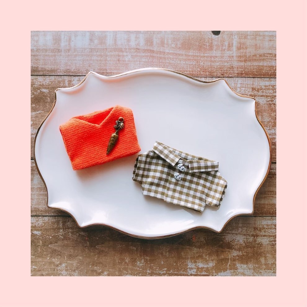 キャロットベスト&うさぎボタンシャツset🥕🐇【10cmぬいsize/送料別】