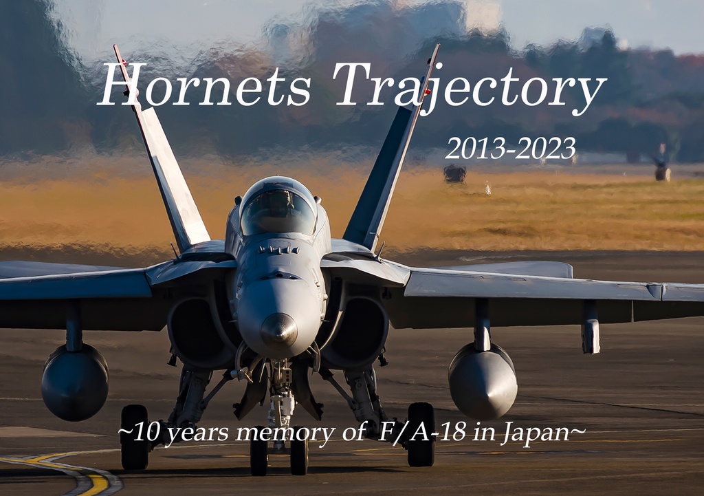 Hornets Trajectory