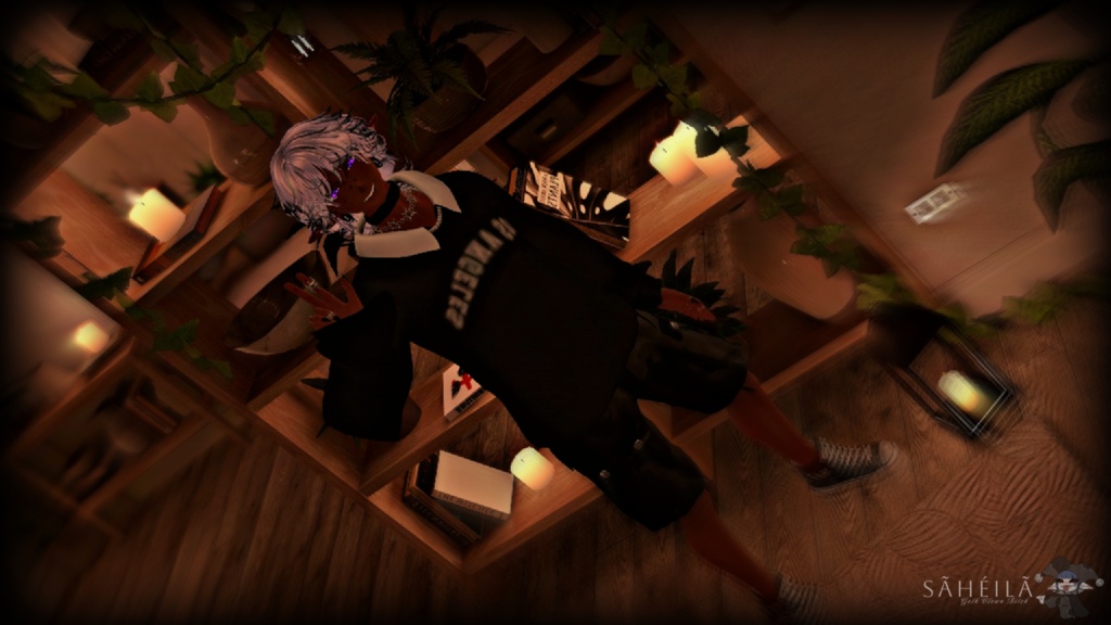 { SEN } - PC & QUEST ,GOGO