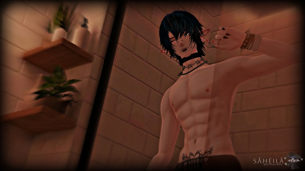 { SEN } - PC & QUEST ,GOGO