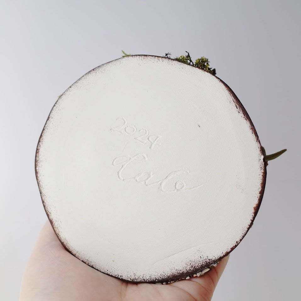 【TAG作品】隣人・ノーム/希少:南瓜種【季節限定作品】