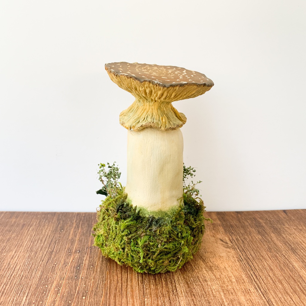 【TAG作品】キノコの森/Poison yellow