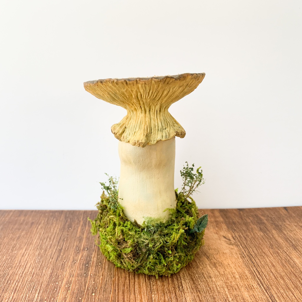 【TAG作品】キノコの森/Poison yellow