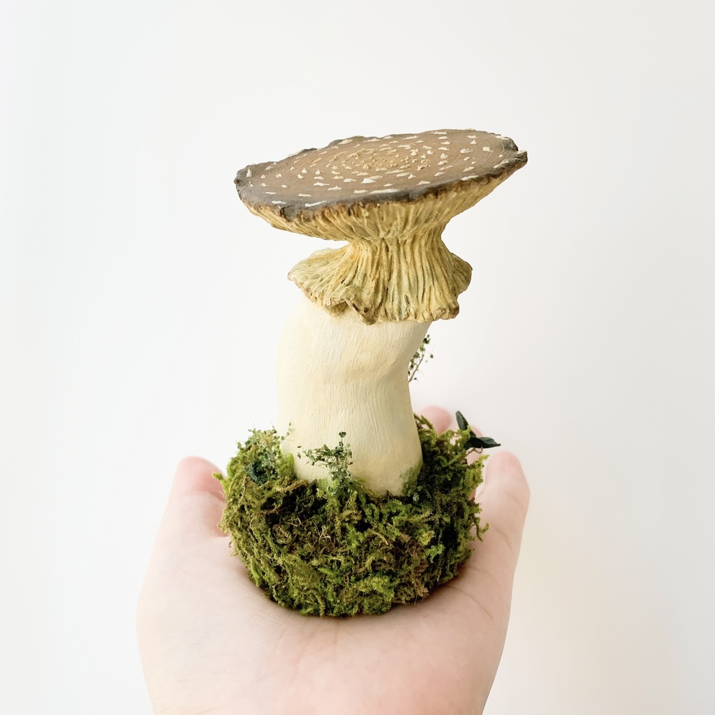 【TAG作品】キノコの森/Poison yellow