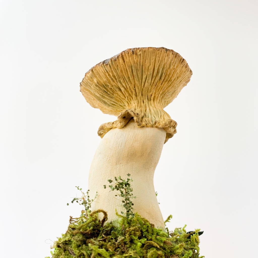 【TAG作品】キノコの森/Poison yellow