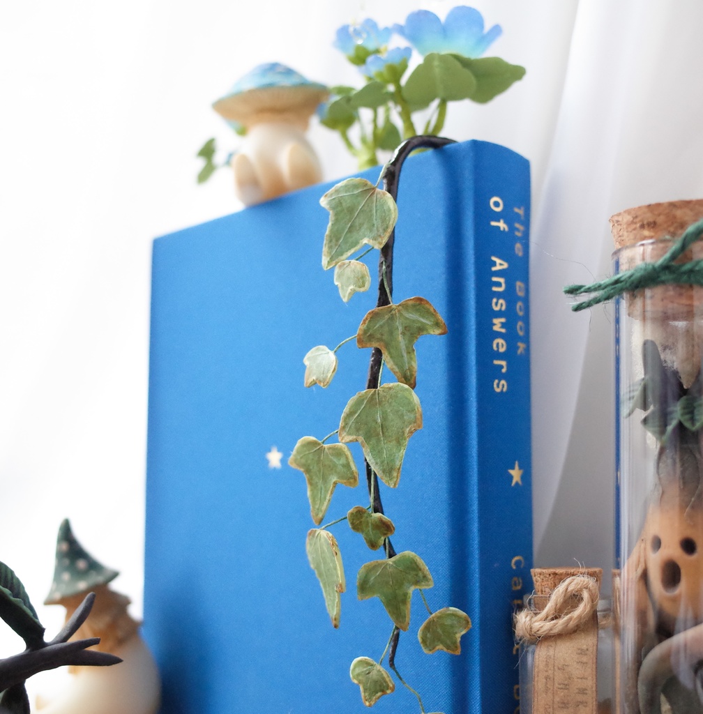 【リーゼの庭】蔦栞(つたしおり)/個体おまかせ便