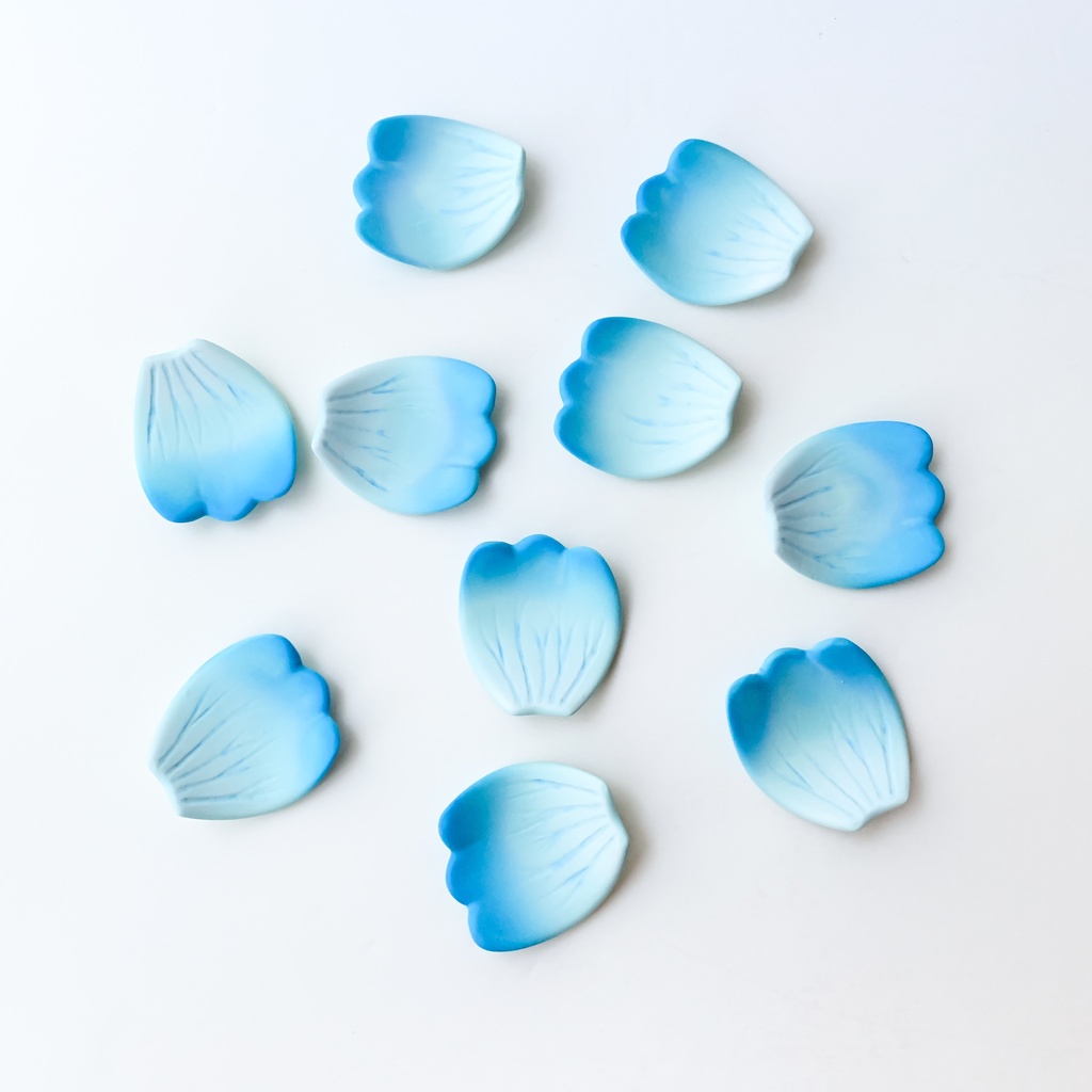 【TAG作品】水色の花弁/EDITION No,1/10~10/10【個展「幾星霜」】