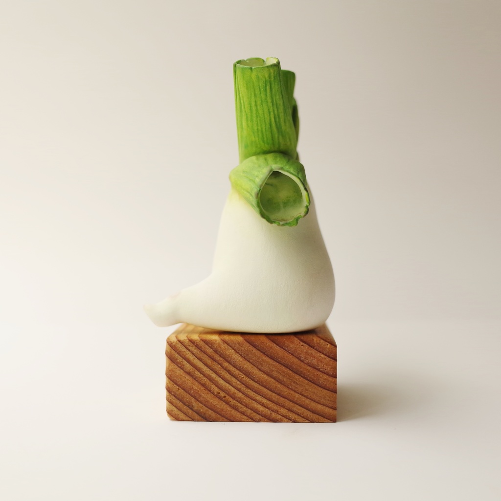 【TAG作品】上に伸びることをやめたネギの小人さん