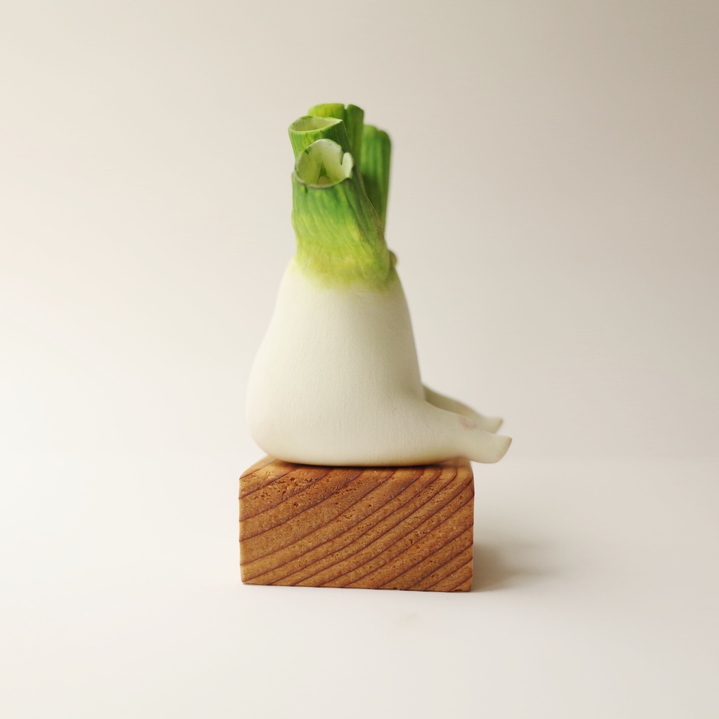 【TAG作品】上に伸びることをやめたネギの小人さん