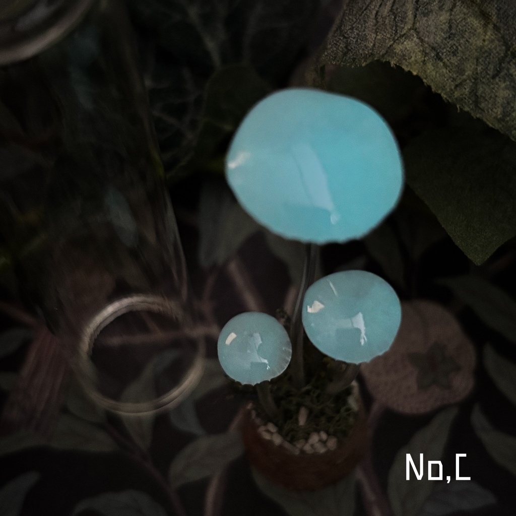 【リーゼの庭】月雫茸/月雫明茸の硝子標本