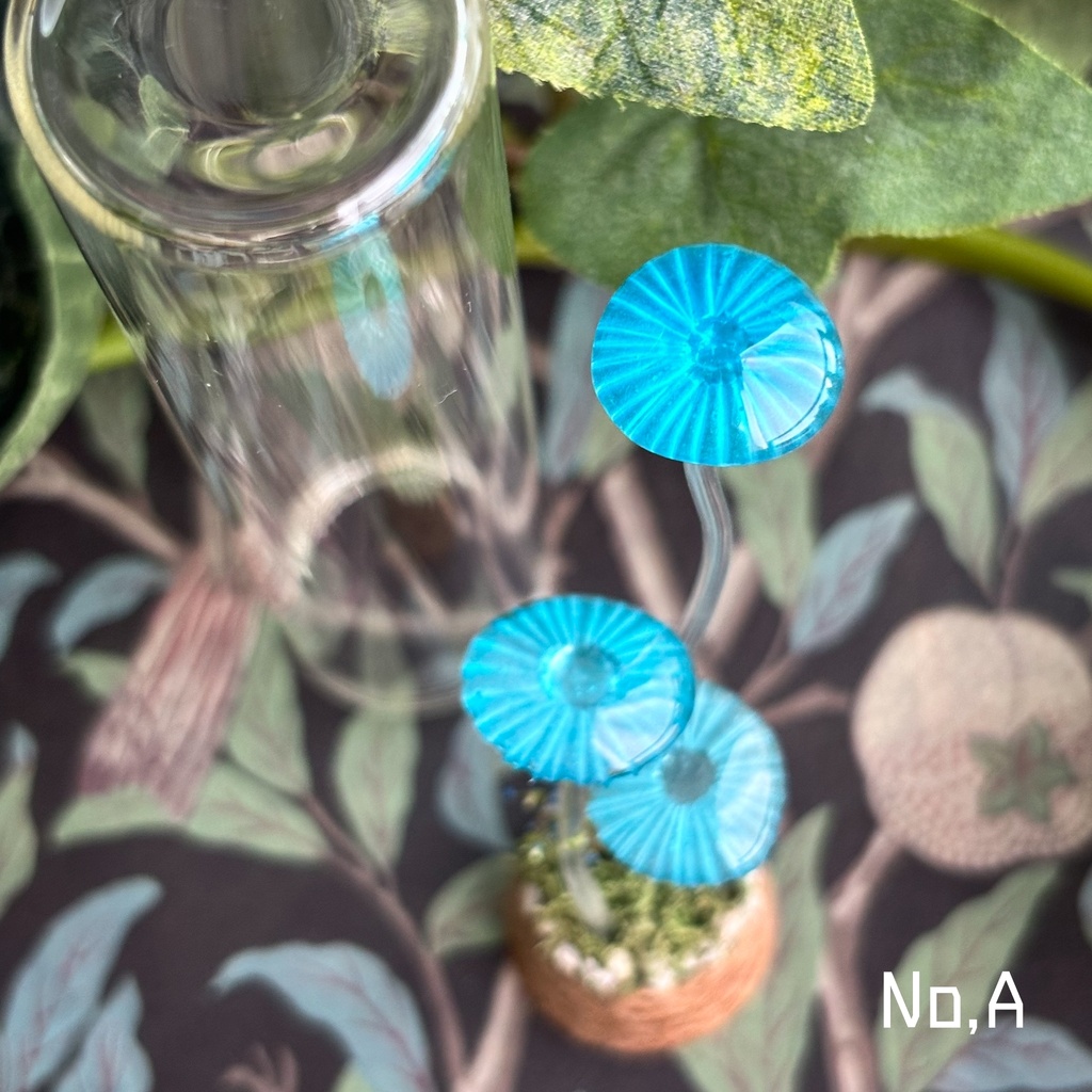 【リーゼの庭】月雫茸/月雫明茸の硝子標本