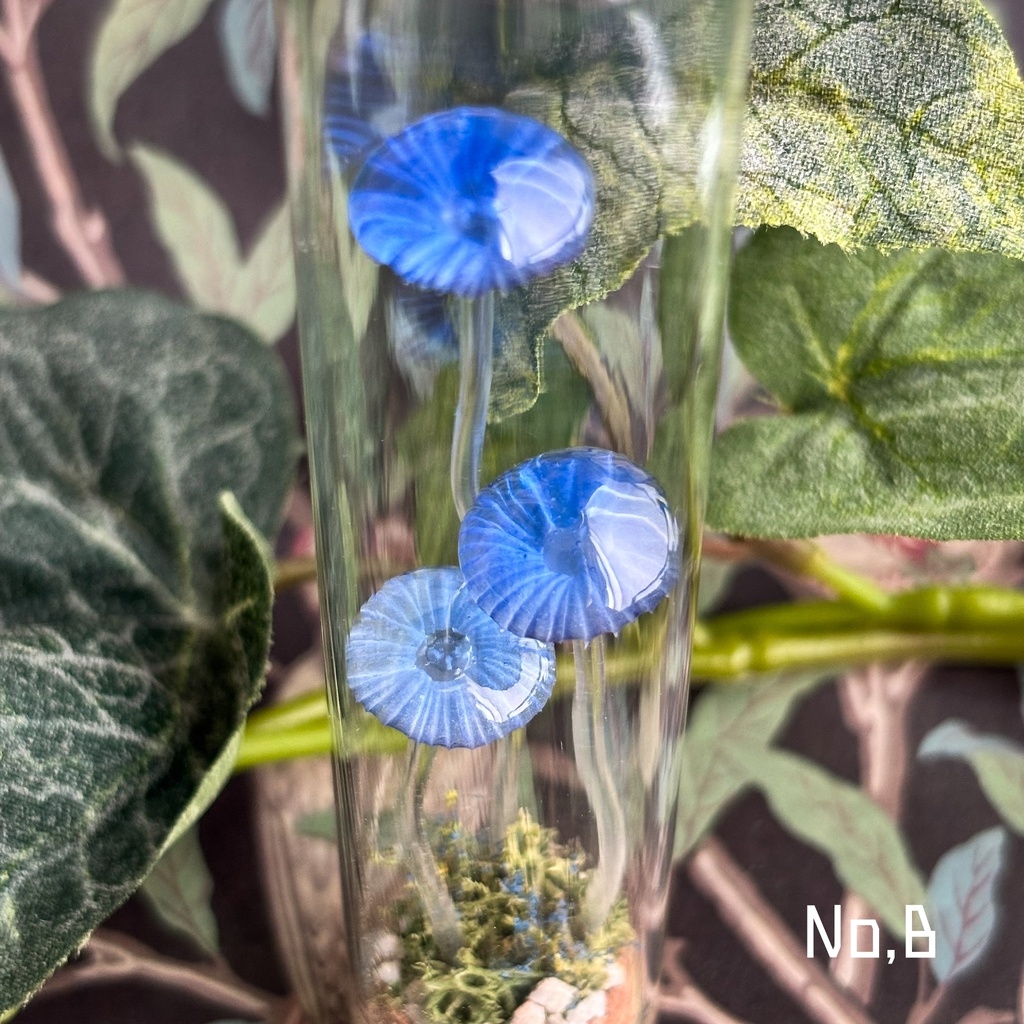 【リーゼの庭】月雫茸/月雫明茸の硝子標本