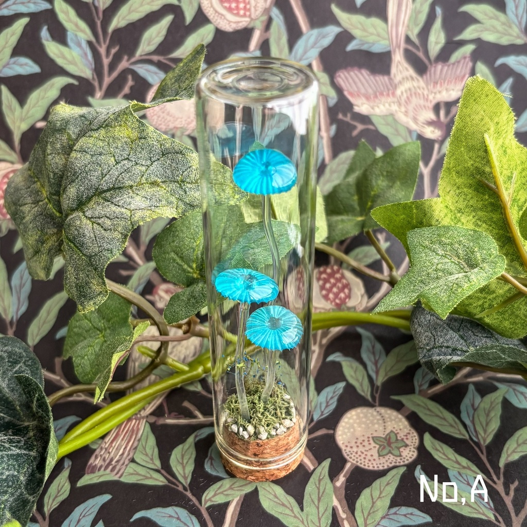 【リーゼの庭】月雫茸/月雫明茸の硝子標本