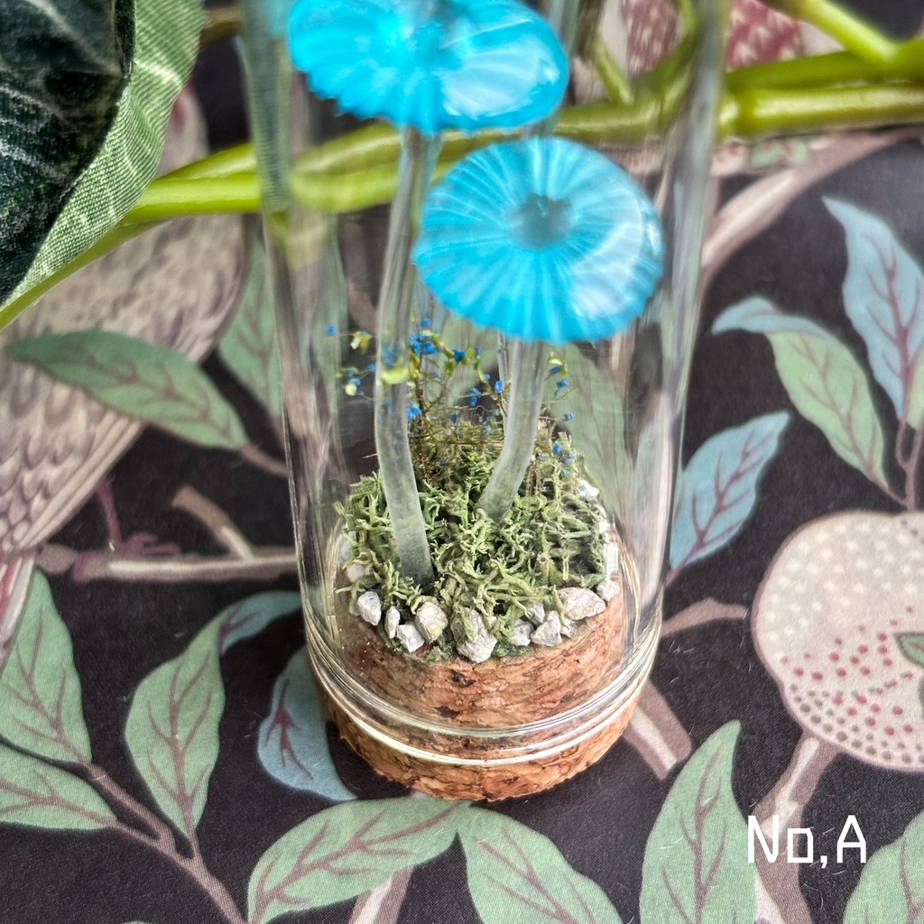 【リーゼの庭】月雫茸/月雫明茸の硝子標本