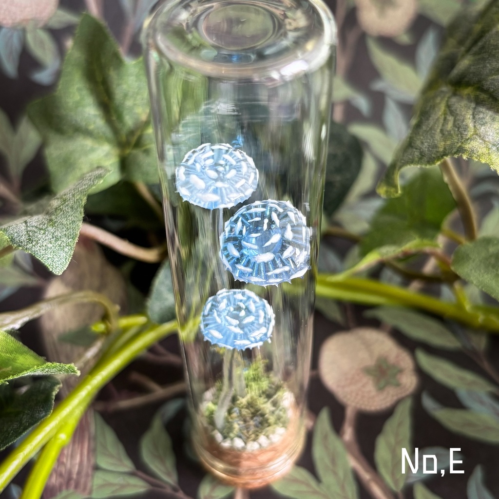 【リーゼの庭】毒月雫茸/毒月雫明茸の硝子標本