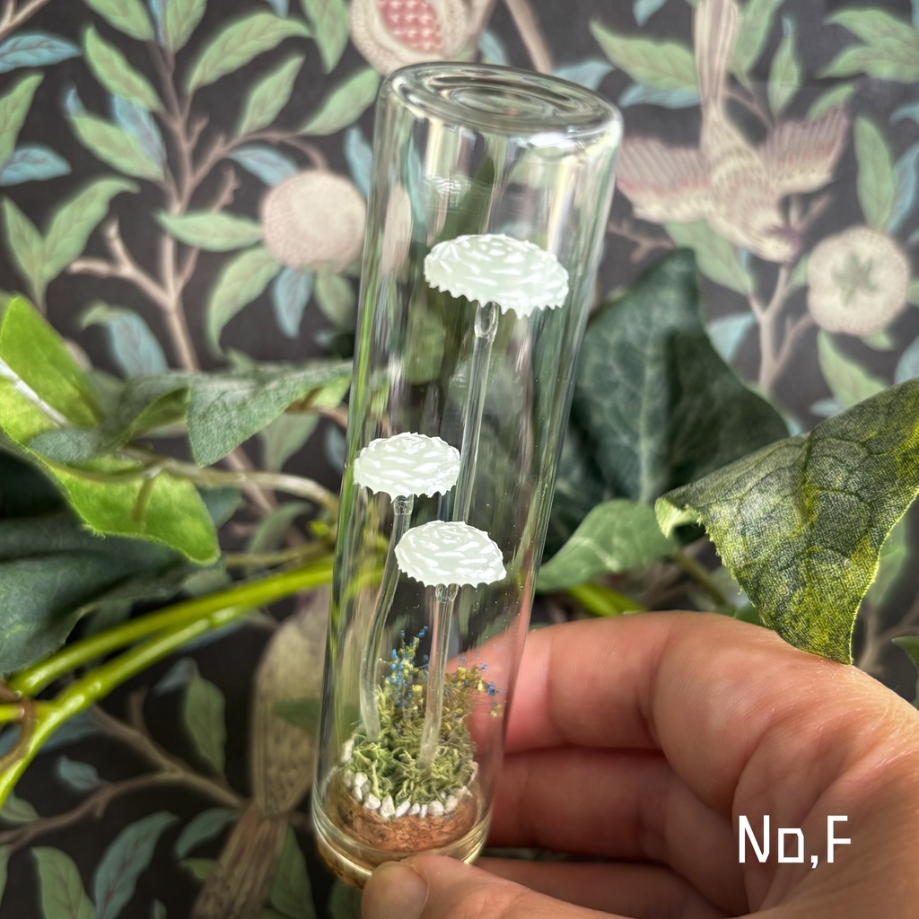 【リーゼの庭】毒月雫茸/毒月雫明茸の硝子標本