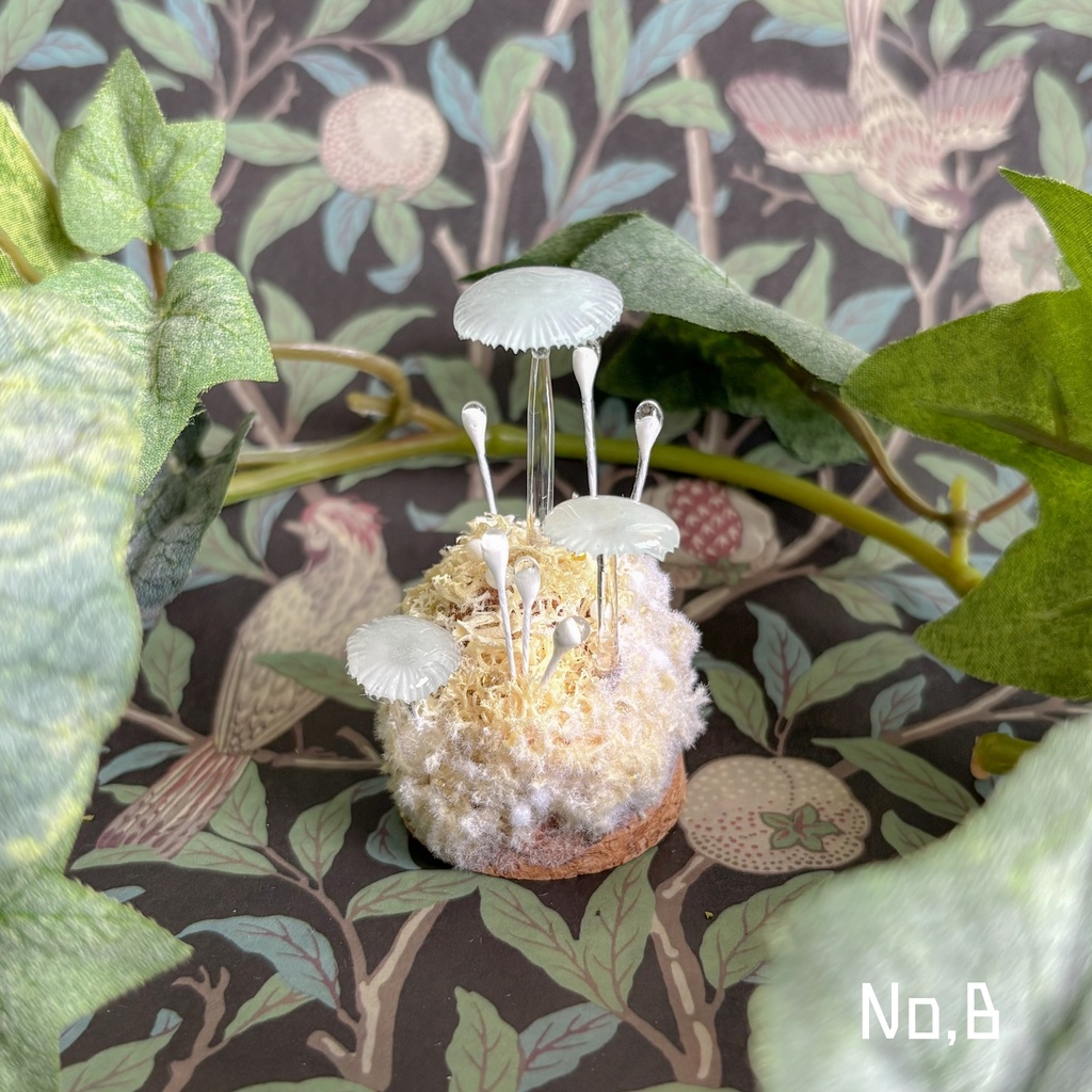 【リーゼの庭】月雫明茸(しずくあかりたけ)